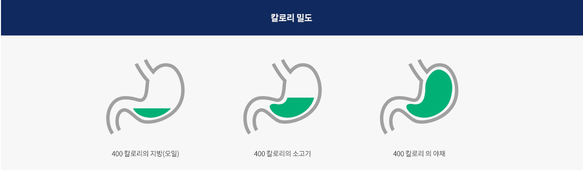 참치